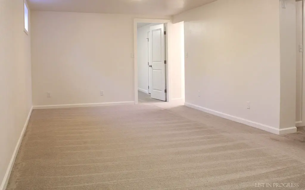 brand new carpet in the basement