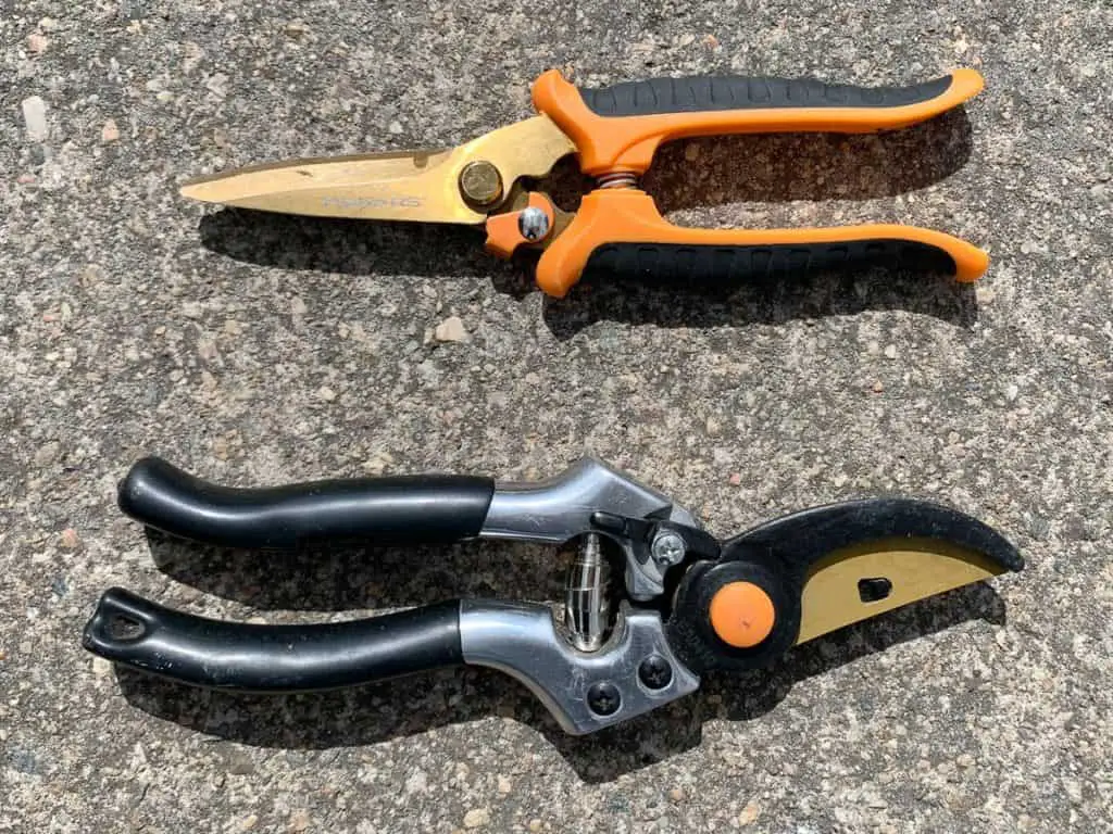 scissors and pruning shears