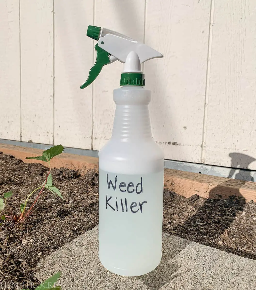 4 Non-Toxic Weed Killers for Your Yard