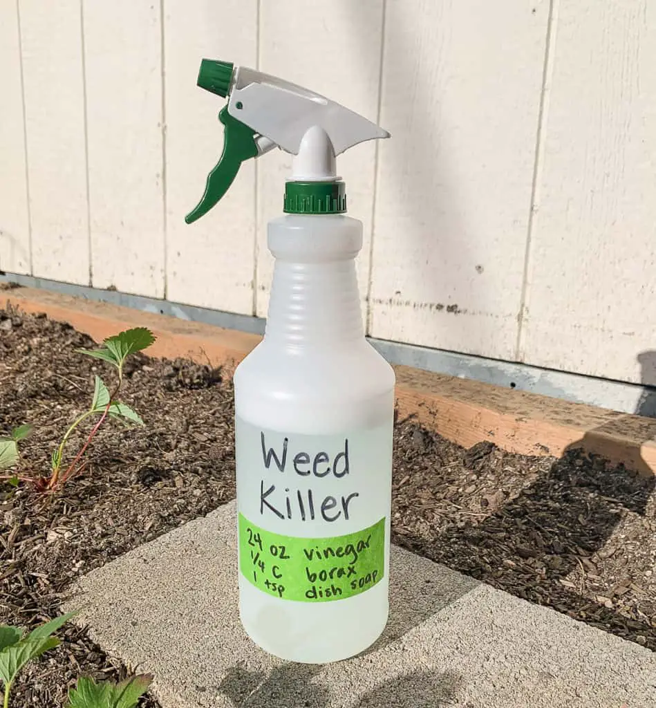 non-toxic weed killer with vinegar, borax, and dish soap