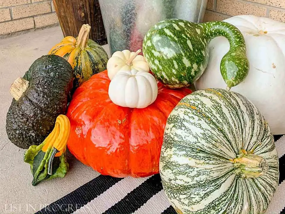 How to Preserve Pumpkins Without Bleach