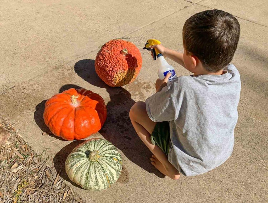 NoMess Tips to Preserve Pumpkins and Gourds List in Progress