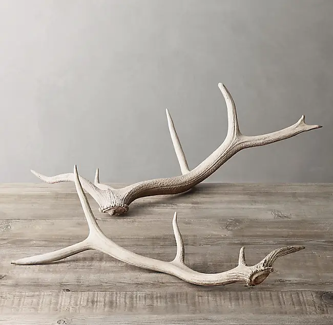 spend vs. save antlers