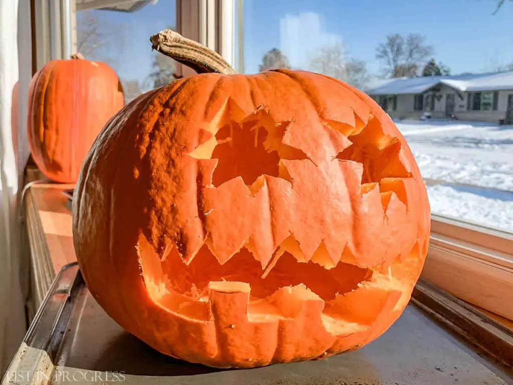 how to preserve pumpkins once carved