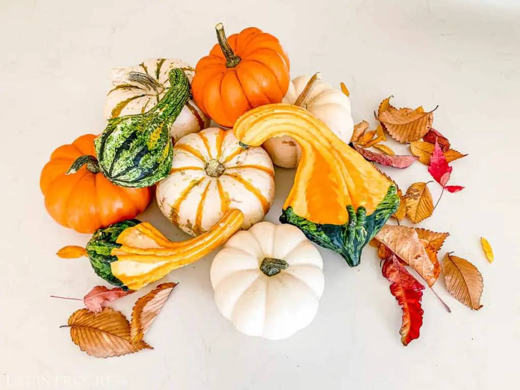 how to preserve pumpkins and gourds