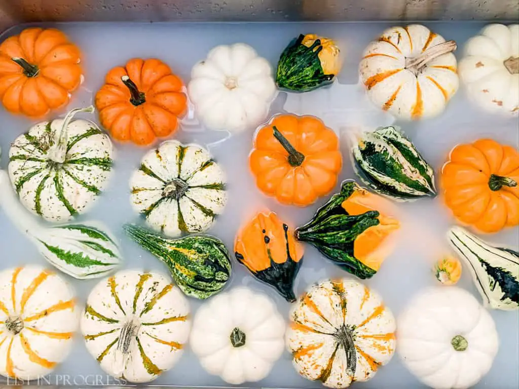 how to preserve pumpkins in sinkful of soap