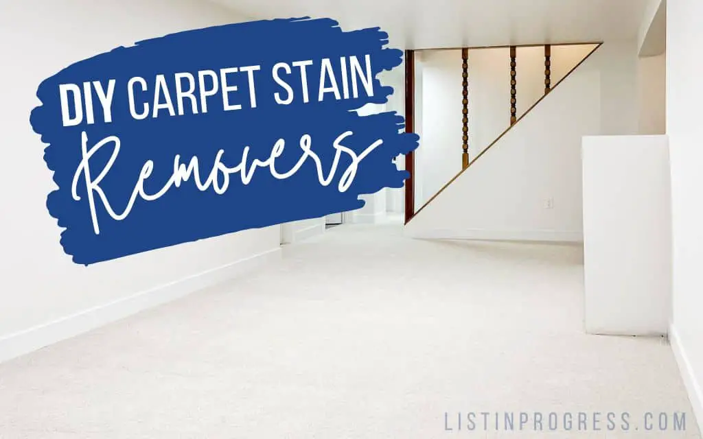 diy carpet stain removers