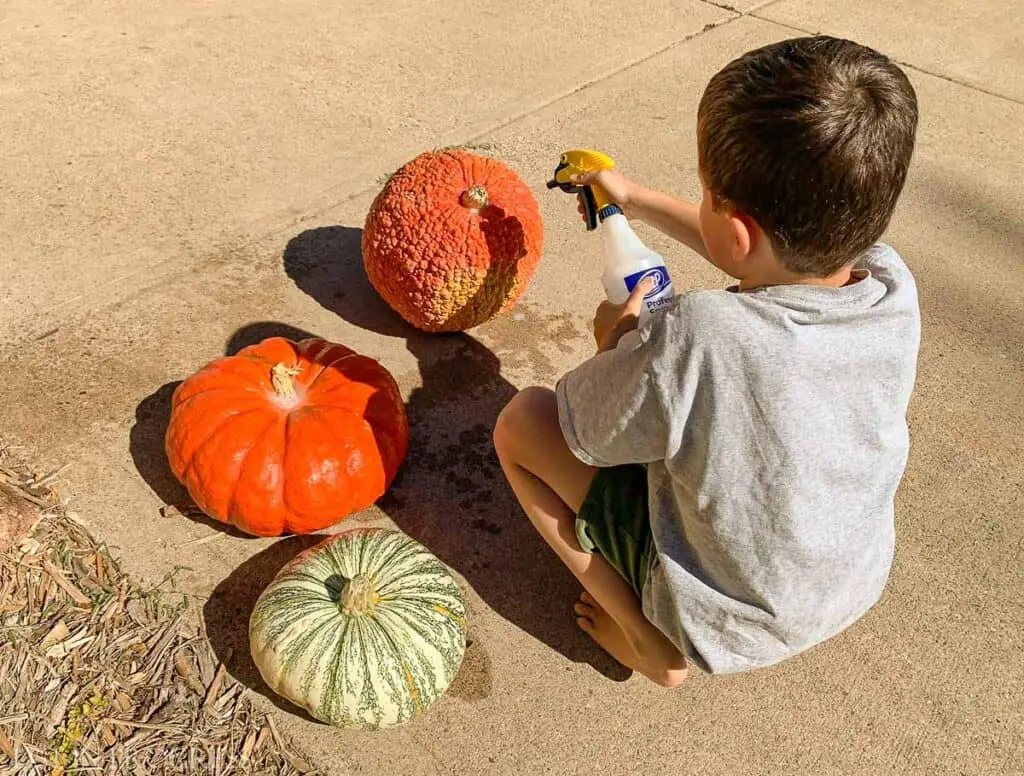 Make Pumpkins Last Longer
