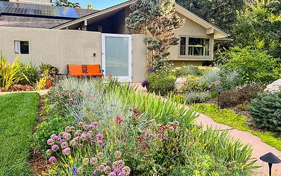 Modern Curb Appeal Ideas to Consider